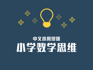 ePlus荷兰 数学思维班